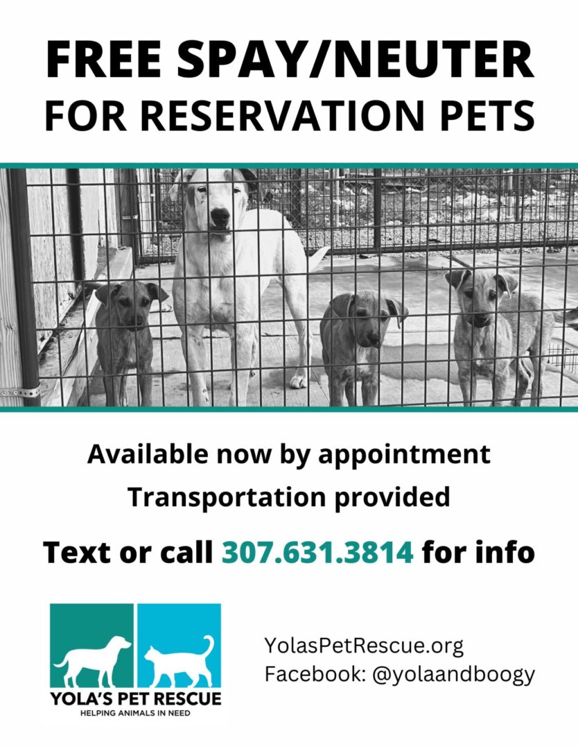 Free Spay/Neuter Eastern Shoshone