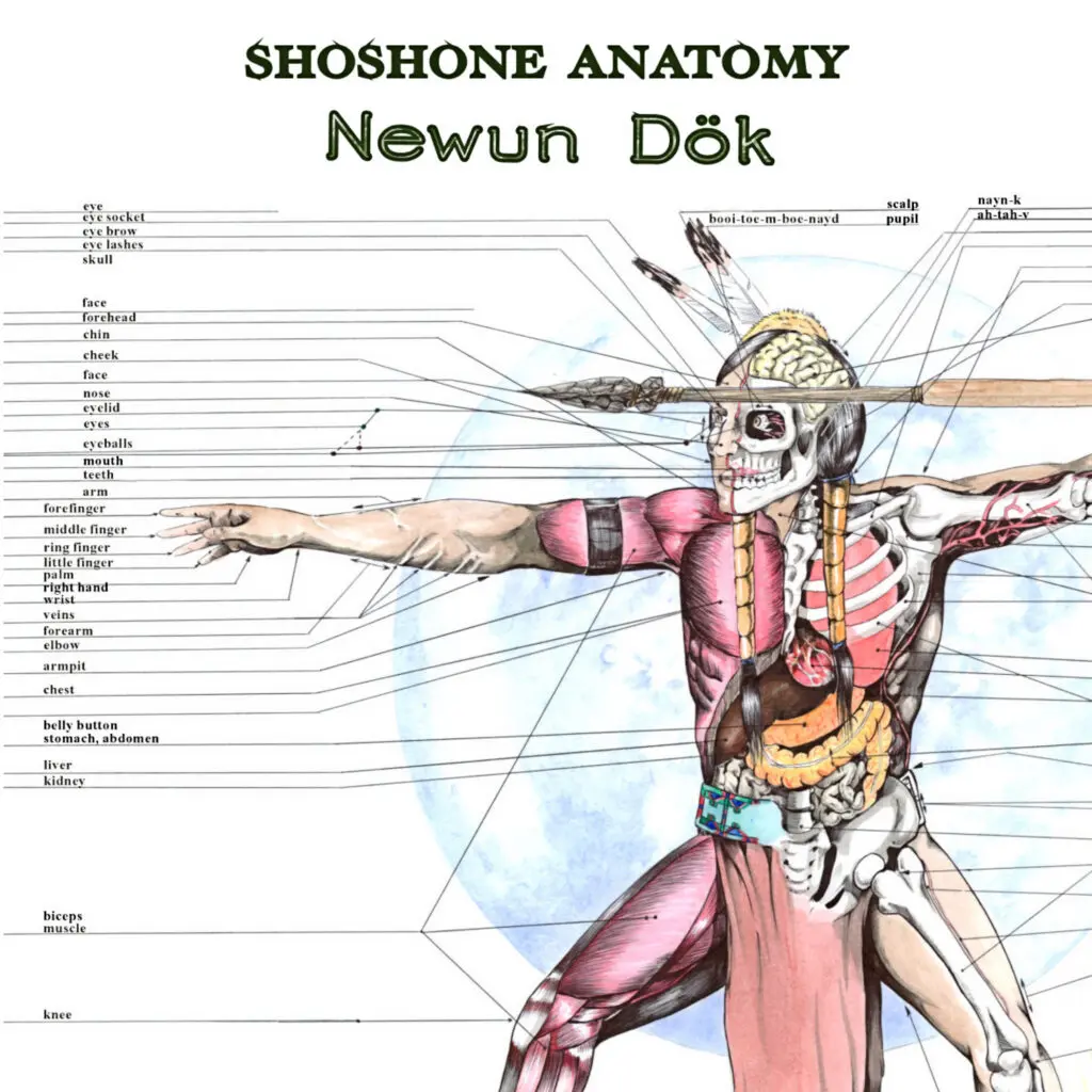 Shoshone-Anatomy-1024x1024